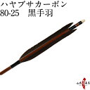 弓道 矢 ハヤブサカーボン 80-25 黒手羽 6本組 商品