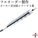 弓道 矢 フルオーダー製作 ターキー 美羽根シリーズ 3番 6本組 (イーストンシャフト1913 2014 2015) o-143