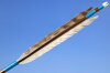 【D-1496】White Fletching - Set of 6 (Shaft Size1913)白尾羽 1913シャフト 6本組 【D-1496】White Fletching - Set of 6 (Shaft Size1913)白尾羽 1913シャフト 6本組