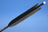 【D-1361】Black Fletching - Set of 6 (Shaft Size2115)黒手羽風切 2115シャフト 6本組 【D-1361】Black Fletching - Set of 6 (Shaft Size2115)黒手羽風切 2115シャフト 6本組