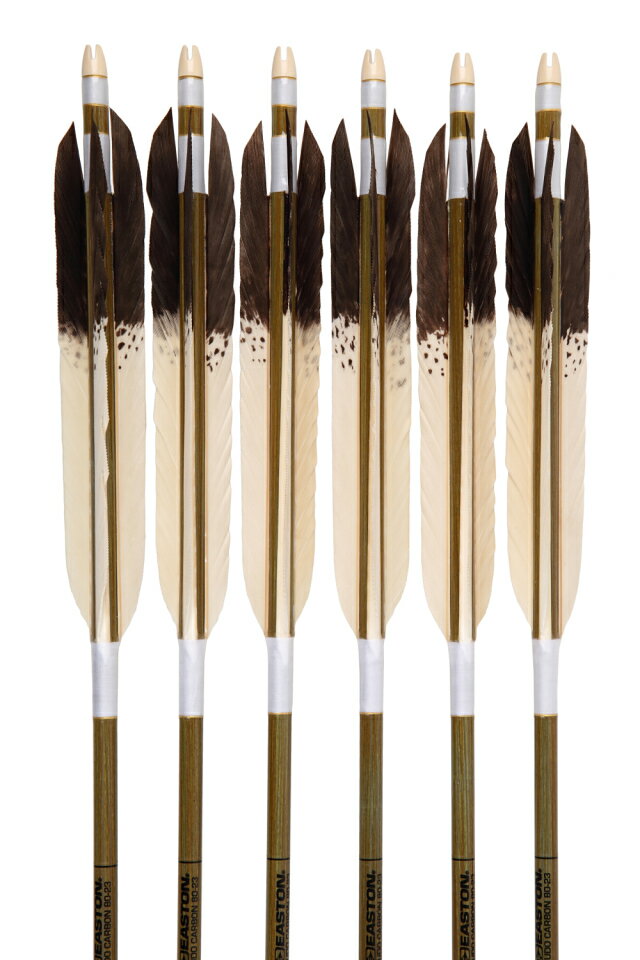 弓道 矢 イーストン カーボン 黒尾羽 特選抜染 犬鷲柄 80-23 シャフト 6本組 ハギ糸 白色 商品番号D-1615 推奨弓力 13kg以上 直径8mm 山武弓具店 送料無料 Easton
