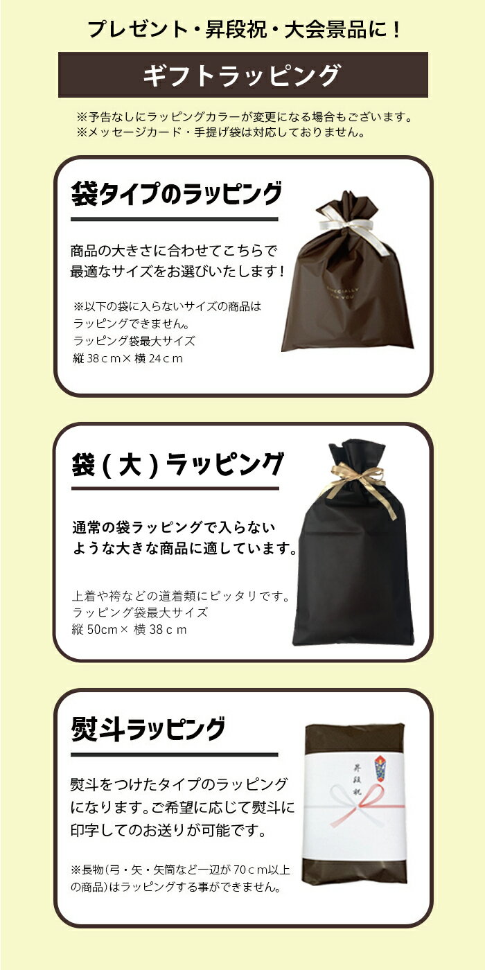 有料ラッピング 袋ラッピング 包装紙 各種のし対応 【wp-cha】