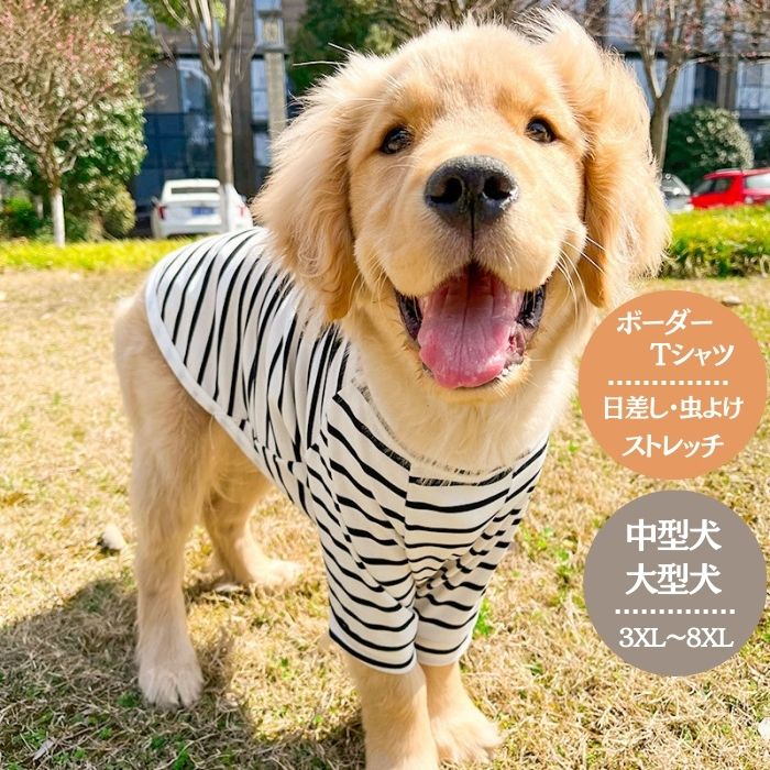 【在庫処分セール】犬服 ドッグウェア 夏服 薄手 中型犬 大型犬 半袖 Tシャツ 半袖 ボーダー 可愛い おしゃれ 袖あり 犬 服 ドッグウェア ストライプ柄 春 夏 秋 虫対策 抜け毛防止 お散歩 お出かけ シンプル ゴールデンレトリーバー COTEN