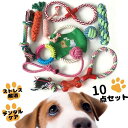 10点セット 犬 おもちゃ セット 玩具 ぬいぐるみ ロープ 知育玩具 ノーズワーク ボール 引っ張り 大容量 縄 デンタルケア ストレス 発散 ペット 遊び ...