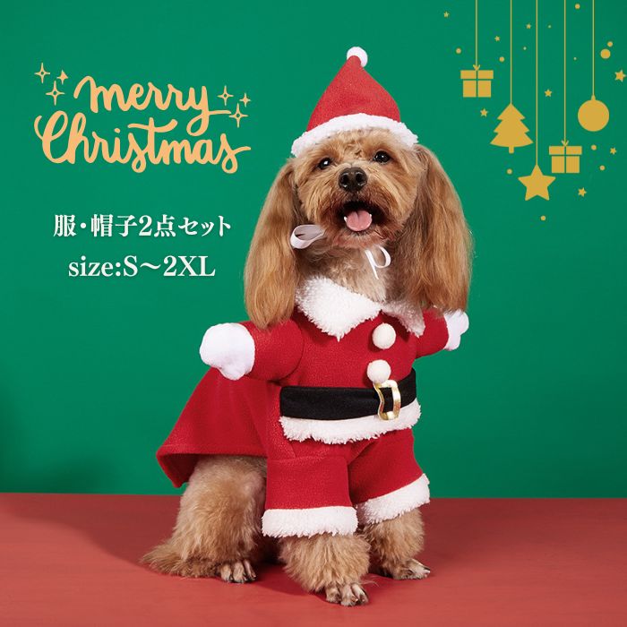 �� ���ꥹ�ޥ� ���󥿥������� �����ץ� ˹�� �� 2�����å� ���󥿤��� �ʤ꤭�� �ڥå��� ���ѥ��󥿥����ץ� �İ��� ���� ���٥�� ������ �ڥå� C...