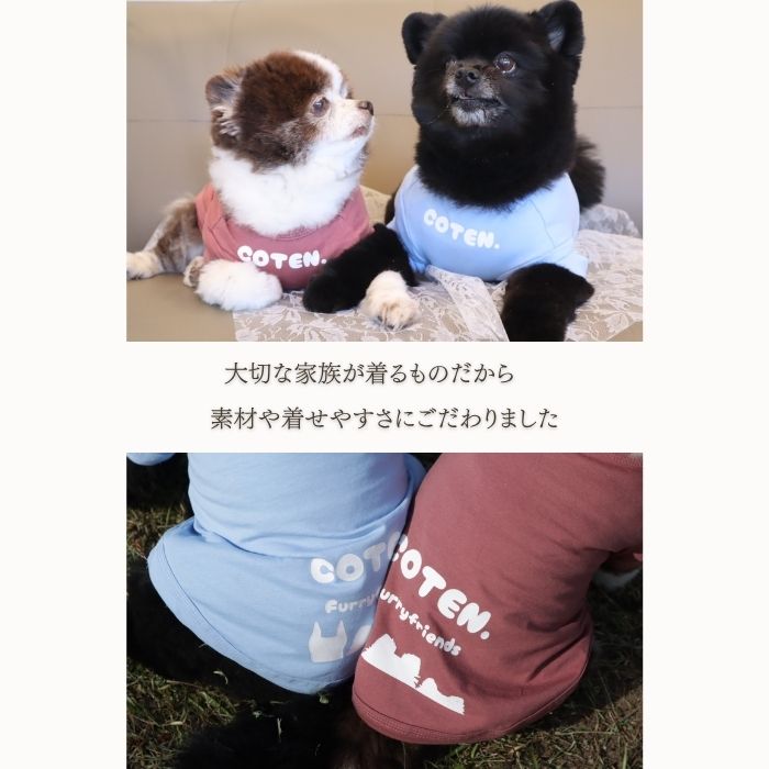 【10%OFF お買い物マラソンSALE】犬 犬服 クール ひんやり 防虫 夏服 冷感 Tシャツ 接触冷感 防蚊 着せやすい 着脱簡単 紫外線対策 虫よけ 伸縮性 涼しい 小型犬 中型犬 大型犬 半袖 可愛い ドッグウェア お出かけ 水遊び 夏 熱中症対策 COTEN samoyed-shop-10000875 Samoyed サンプル画像3