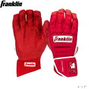 【1点のみメール便対応可】Franklin フランクリン バッティンググローブ CFX PRT PROTECTIVE BATTING GLOVES 両手用 保...