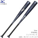 【最大3000円OFFクーポン発行中】MIZUNO ミズノ 少年軟式野球用バット ビヨンドマックス レガシー FRP製 78cm 平均560g トップバランス ...