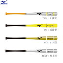 【最大3000円OFFクーポン発行中】MIZUNO ミズノ トレーニングバット プロフェッショナルW 木製 打撃可 84cm 平均950g 硬式 軟式 練習用 ...