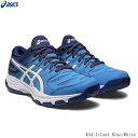 ASICS　アシックス　ハンドボールシューズ　GEL-BEY