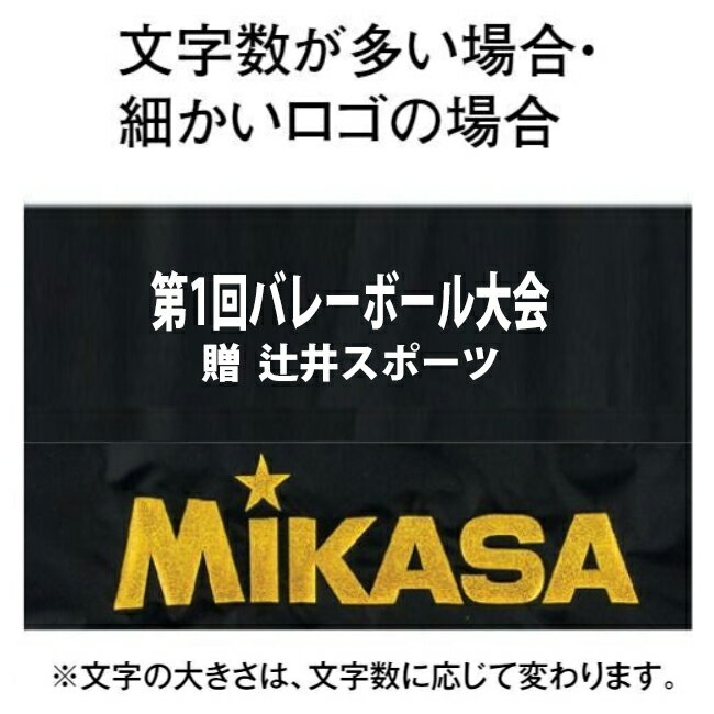 【名入れ加工可】ミカサ MIKASA ハンドボールバッグ4個用 黒 AC-BGS40-BK ブラック かばん 遠征 試合 練習 部活 卒団 記念品 ギフト プレゼント【取り寄せ商品】(2407koi) △ネーム加工対応 1M15・2M15 ※刺繍不可