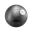 【NISHI】ニシ 砲丸 7.26Kg 陸上競技 【取り寄せ商品】 a-f251a 208KH ai【送料無料(※沖縄・離島..