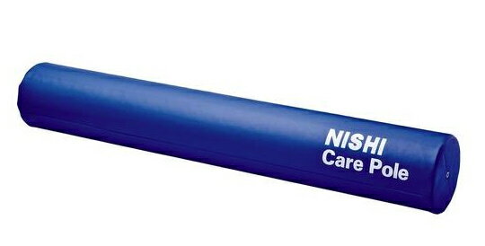 【NISHI】ニシスポーツ ケアポール ケア用品 トレーニング 【取り寄せ商品】 nt7991 ai 2005KH