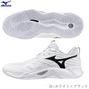 MIZUNO ミズノ バレーボールシューズ WAVE MOMENTUM PRO ウーエーブモーメンタム プロ ローカット ノンマーキングソール 足幅2E相当 V1GA254051 2507ai