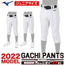 ミズノ MIZUNO 少年野球 GACHI ガチ ユニフォームパンツ レギュラータイプ/ヒザ2重 ショートフィットタイプ ジュニア 練習着パンツ (22ss) 2022年モデル ホワイト 120 12JD2F8001 12JD2F8401 野球