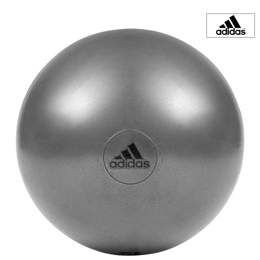 adidas アディダス ジムボール フィットネス エクササイズ グレー 65cm ADBL-11246