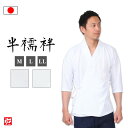 【送料無料】速乾メッシュ半襦袢(夏用絽衿・通年用衿)(M-LL) 肌着 下着 和服用 和装用 作務衣用 着物用 メンズ 男性用 大人用