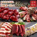 【スライス済み】熟成馬刺し5種食べ比べ桜セット 馬刺し 熊本 馬肉 詰め合わせ 馬刺 約5人前 250g 赤身 ハツ ふたえご たてがみ ヒモ 老舗 肉 ギフト...