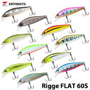 【ZIP BAITS】 ジップベイツ Ridge Flat 60S リッジ フラット 60S 6.8g ヘビーシンキング シンキング ルアー アングラー トラウト フィッシング 釣り アウトドア