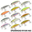  デュオ SPEARHEAD RYUKI 46S スピアヘッド・リュウキ 46S ルアー フィッシングツール アウトドア