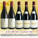 【正規輸入元直営】シャンボール・ミュジニーの2大生産者ヴォギュエ＆ミュニエ5本セット ワインセット フランスワインセット ブルゴーニュワイン 高級ワイン フランス ブルゴーニュ ギフト お祝い 飲み比べ あす楽 シャンボール ミュジニー ニュイ サン ジョルジュ