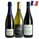 【550円レビュークーポン実施】プラチナ賞クレマン&フランス定番赤白3本セット フランスワイン ワイン飲み比べセット 750ml 3本セット 正規輸入元直営 ギ...