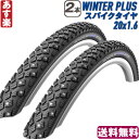 【返品保証】 スパイク タイヤ シュワルベ マラソン ウインター プラス Schwalbe Marathon Winter Plus ミニベロ 2本セット 20x1.60　送料無料 【あす楽】