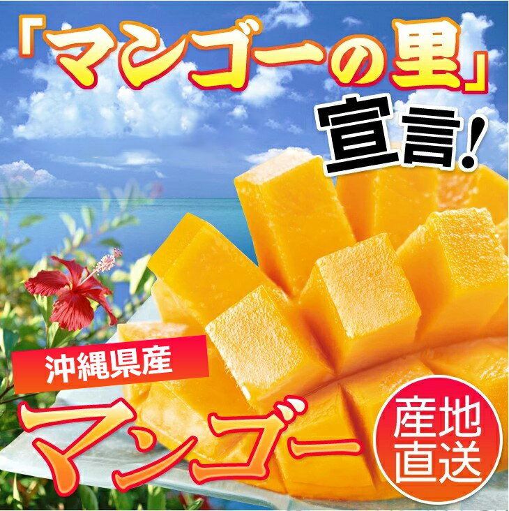 Rakuten - 【送料込】（産地直送 1088）蔵【農協直販　沖縄産マンゴー大玉箱　約1kg（2玉）】※1)お届け迄の所要日数：発送開始6月下旬～受付順次30日以内。※2）他商品との同梱不可です。※3）日時指定不可。