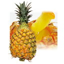 【送料込】(産地直送 1017)蔵【農協直販 沖縄産スナックパイン(2玉)パイン1玉約800g】※1)お届け迄の所要日数:発送開始6月上旬~受付順次30日以内。※2)他商品との同梱不可です。※3)日時指定不可。