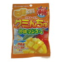 【 オキコ グミんちゅ沖縄マンゴー味】