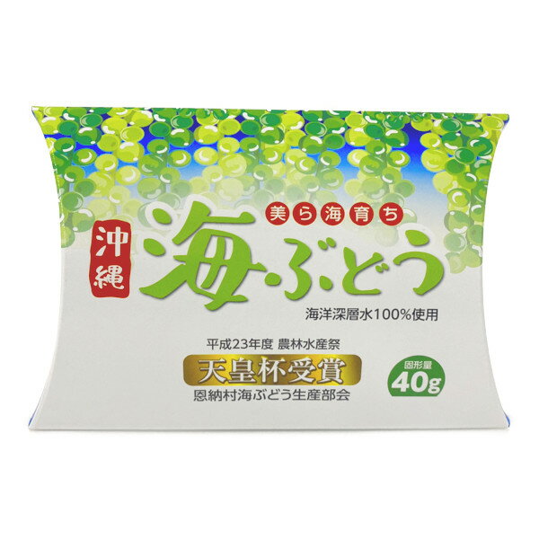 【恩納村産海ぶどう（箱入り）】※鮮度保持のため、クール商品との同梱不可商品※のサムネイル