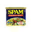 ڥۡ SPAMʥѥˤ