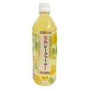 󥨡饤󥷥åפ㤨֡ΰӥХåϥ 500mlۡפβǤʤ149ߤˤʤޤ