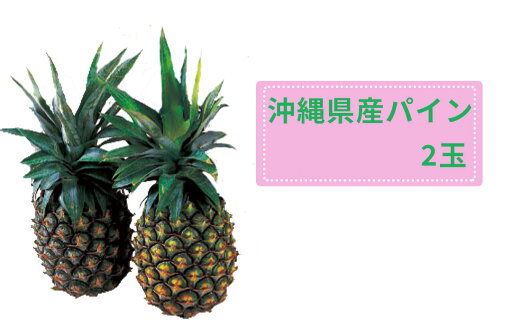 【送料込】(産地直送 1014)蔵【農協直販 沖縄産パイン(2玉)パイン1玉約1kg】※1)お届け迄の所要日数:発送開始7月上旬~受付順次30日以内。※2)他商品との同梱不可です。※3)日時指定不可。 【送料込】(産地直送 1014)蔵【農協直販 沖縄産パイン(2玉)パイン1玉約1kg】※1)お届け迄の所要日数:発送開始7月上旬~受付順次30日以内。※2)他商品との同梱不可です。※3)日時指定不可。