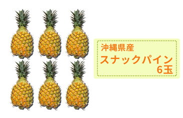 ≪手でちぎって食べるパイン≫（3113）【沖縄県産　スナックパイン　6玉】≪※他商品との同梱不可です。≫≪※要冷蔵※クールでのお届けです。≫