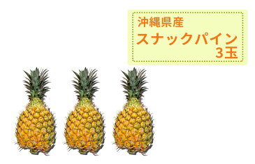 ≪手でちぎって食べるパイン≫（3114）【沖縄県産　スナックパイン　3本】無くなり次第終了≪※他商品との同梱不可です。≫≪※要冷蔵※クールでのお届けです。≫