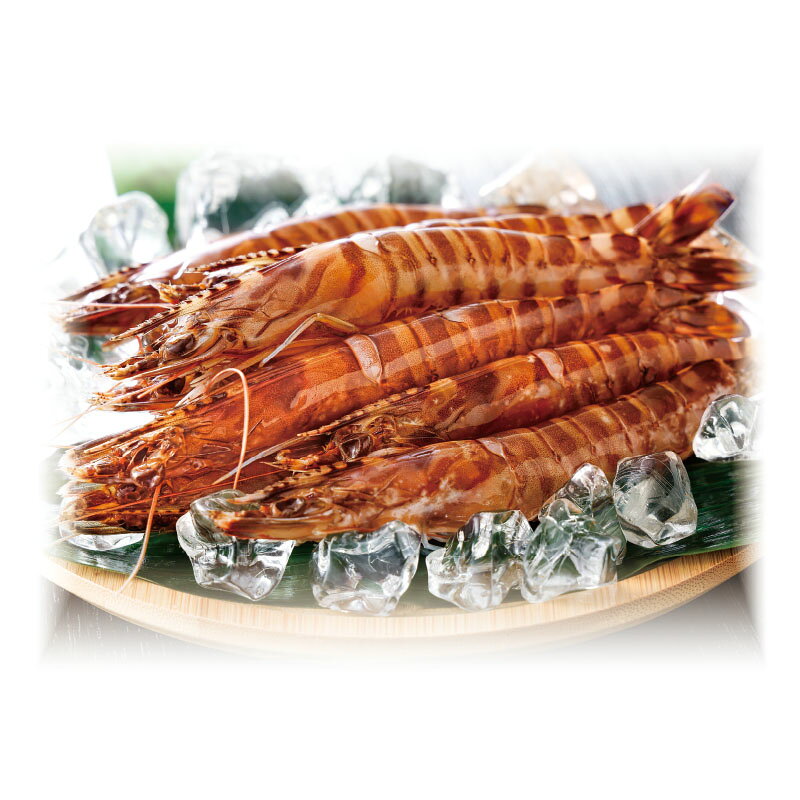 （産地直送 3393 常温【送料込】）【宜野座産 活車海老（大サイズ）500g】※1)他商品との同梱不可です。※2)お届け日指定不可。※3)お届け出来ない地域があります。（詳しくは画像をご確認ください。）