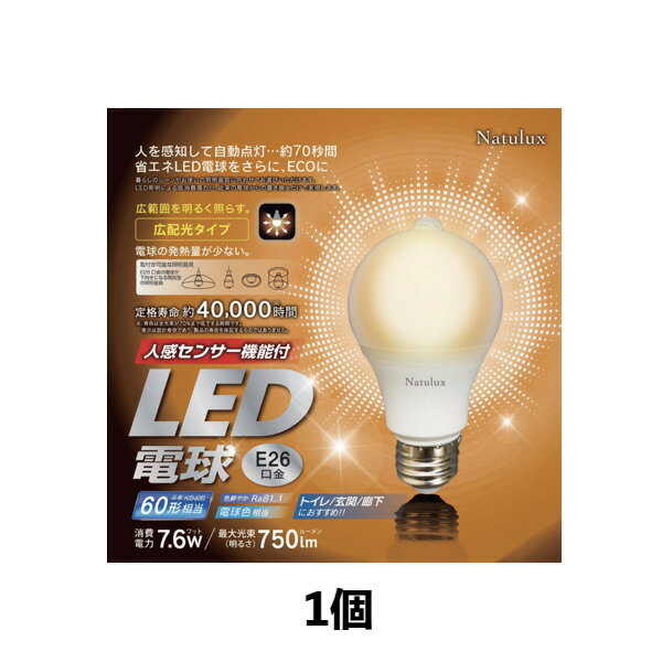 ʹ󥵡ǽ LEDŵ ŵ忧 HJD-60EL