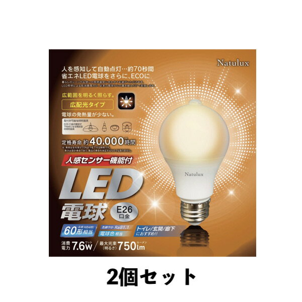 ʹ󥵡ǽ LEDŵ ŵ忧 2ĥå HJD-60EL