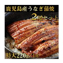 鹿児島産鰻蒲焼 有頭 2尾セット 1尾あたり220g前後 国産うなぎ 父の日