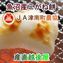 【餅 魚沼産 こがね餅 送料無料】新潟県 JA津南町農協産杵つきこがね餅 500g12枚入5パック【ギフト 贈り物 名水の恵】