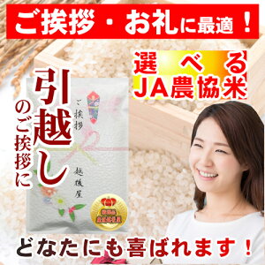 【令和2年産 引越し 挨拶 ギフト】新潟県 魚沼産 コシヒカリ魚沼産地限定 JA農協米1kgJAみなみ魚沼・無洗米 真空パック包装【お米 こしひかり 粗品 景品 お年賀】