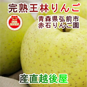 【フルーツ りんご 青森りんご 送料無料】青森県弘前市 赤石りんご園青森りんご 王林 2.5kg（6玉〜10玉）通常品 期間限定 樹上完熟りんご【リンゴ 果物 贈答品 ギフト】