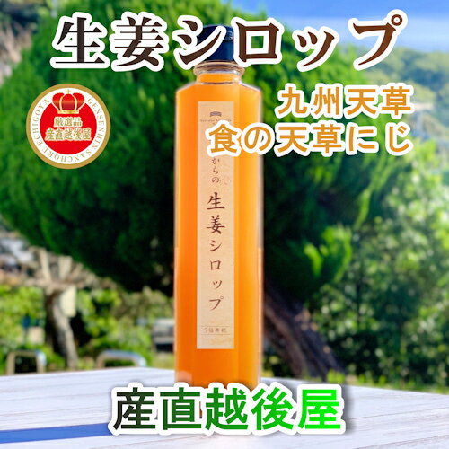 【果実飲料 生姜シロップ 体調管理】熊本県 天草市 食の天草にじ50歳からの生姜シロップ 5倍希釈 3本天草産の天草晩柑 根生姜 純正蜂蜜..