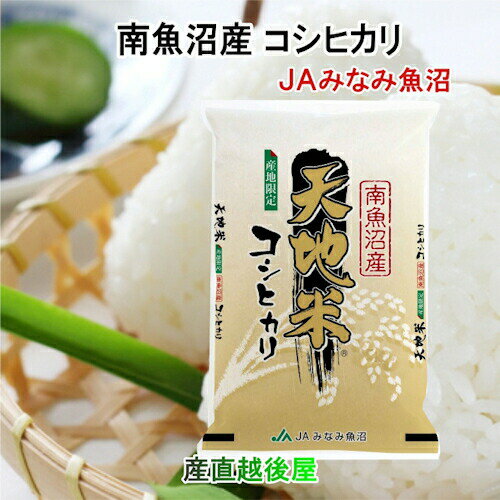 令和5年産 南魚沼産 コシヒカリ 10kg玄米 新潟県 南魚沼 JAみなみ魚沼農協 特A地区 天地米 送料無料【お米 こしひかり ギフト グルメ】