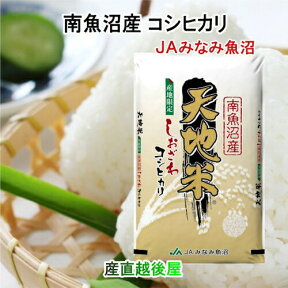 令和5年産 南魚沼産 コシヒカリ 2kg 新潟県 南魚沼 JAみなみ魚沼農協 特A地区 天地米 送料無料【お米 こしひかり ギフト グルメ】