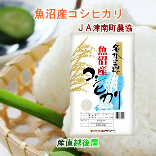 令和6年産 こしひかり 魚沼産 新潟県 特A地区 中魚沼 JA魚沼農協 魚沼産 コシヒカリ 10kg 名水の恵 送料無料【お中元 お米 ギフト グルメ】