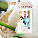 令和6年産 こしひかり 魚沼産 新潟県 特A地区 中魚沼 JA魚沼農協 魚沼産 コシヒカリ 5kg 名水の恵 送料無料【お中元 お米 ギフト グルメ】 【母の日...