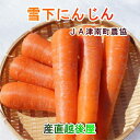 野菜 人参 雪下にんじん 新潟県　JA魚沼農協 津南高原産 雪下にんじん Mサイズ8袋（1袋3～4本 ...