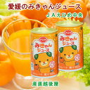 愛媛県の農協 JAえひめ中央 果汁100% オレンジみかんジュース みきゃんジュース160g 20缶入 送料無料【フルーツ 柑橘類 ジュース ギフト】 【母の日...